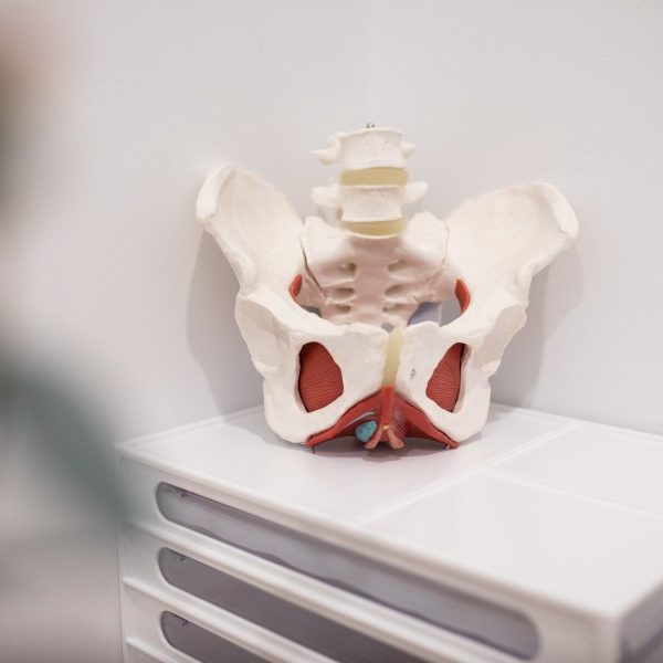 Pelvic